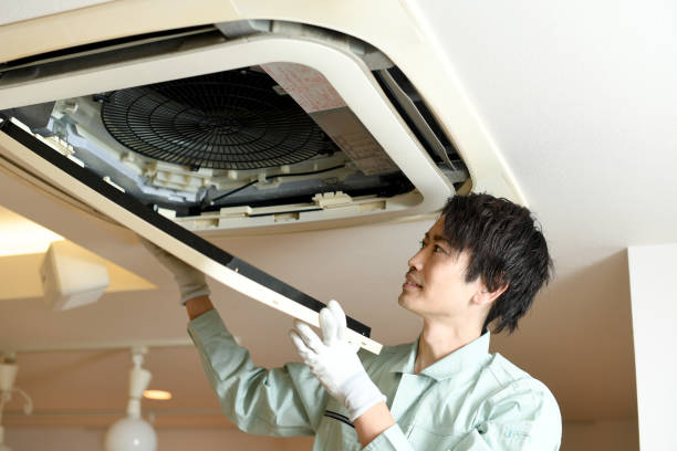 Best Air Duct Sanitizing Services  in Charles City, IA
